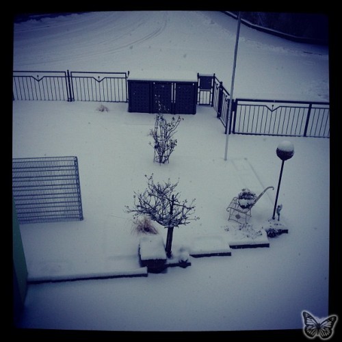 Schnee 2012