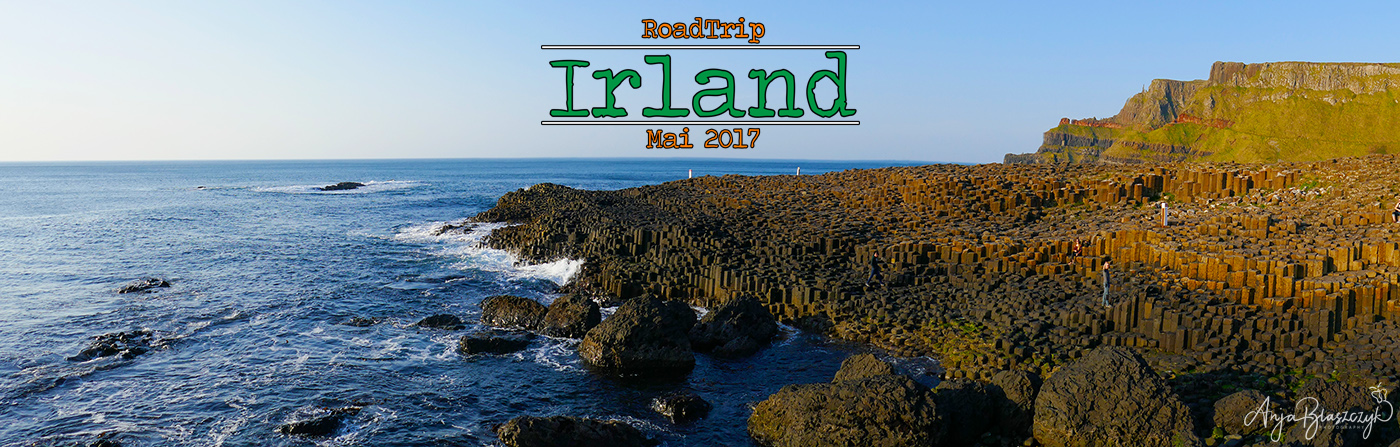 2017 Irland