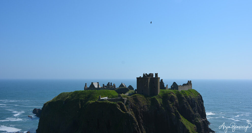 Ich bin wieder zurück!