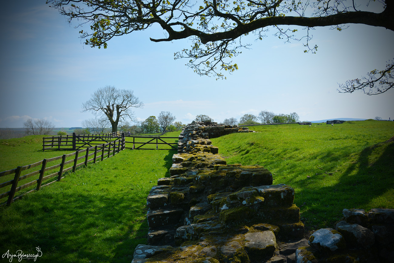 Hadrian's Wall Schottland 2016