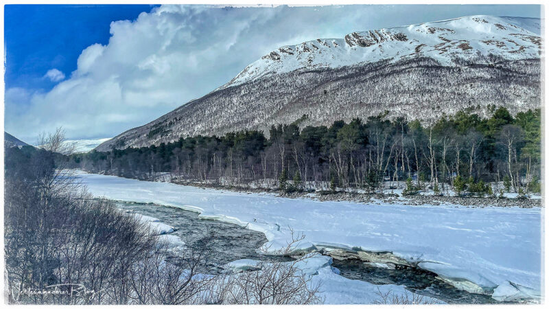 Landschaft Schweden Traintrip