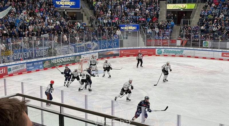 eishockey erci