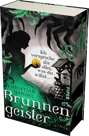 buch brunnengeister