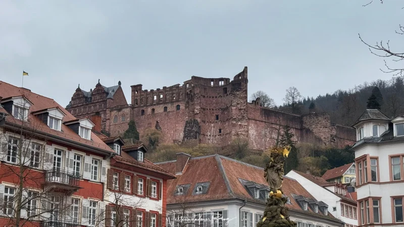 schloss heidelberg