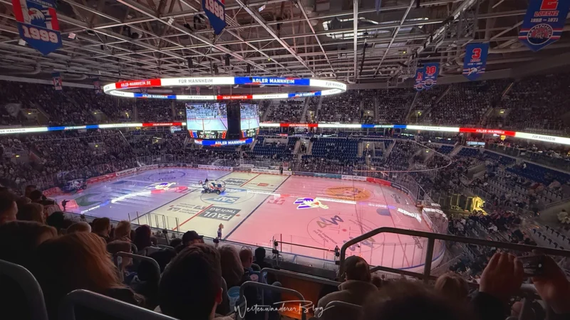 sap arena mannheim eishockey