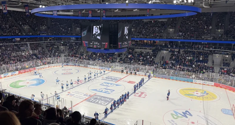 sap arena mannheim eishockey