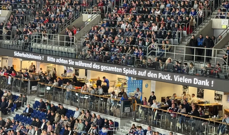 sap mannheim eishockey