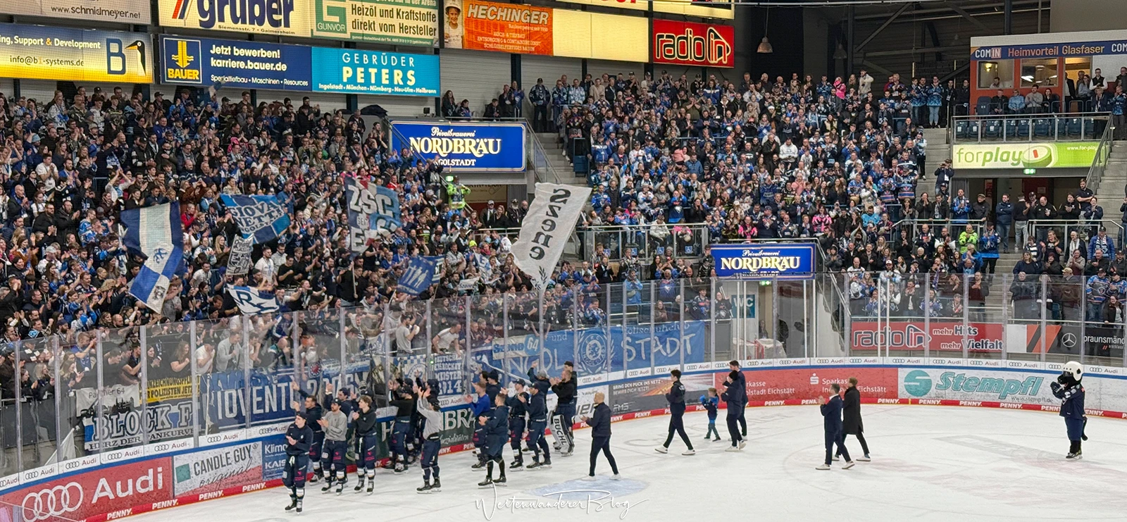 erc ingolstadt eishockey