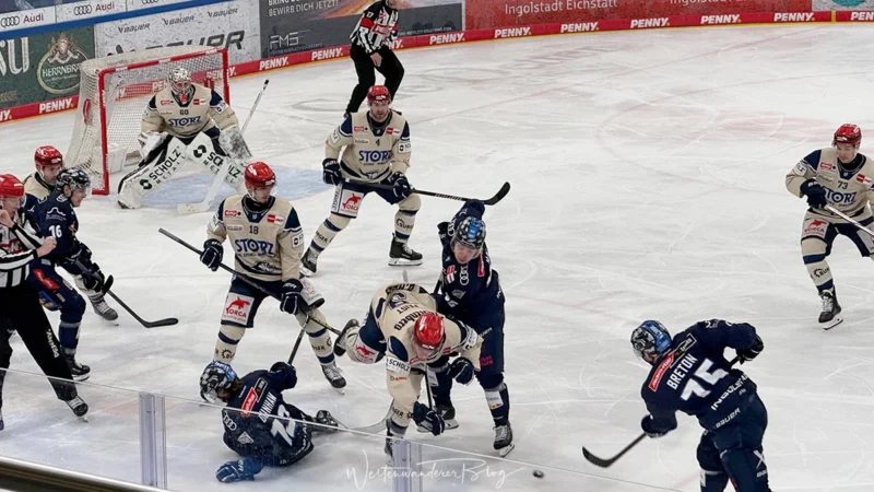 erc ingolstadt eishockey