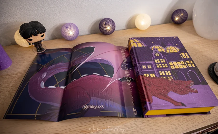 buch die sprache der drachen fairyloot