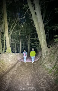 madenburg pfalz nachtwanderung