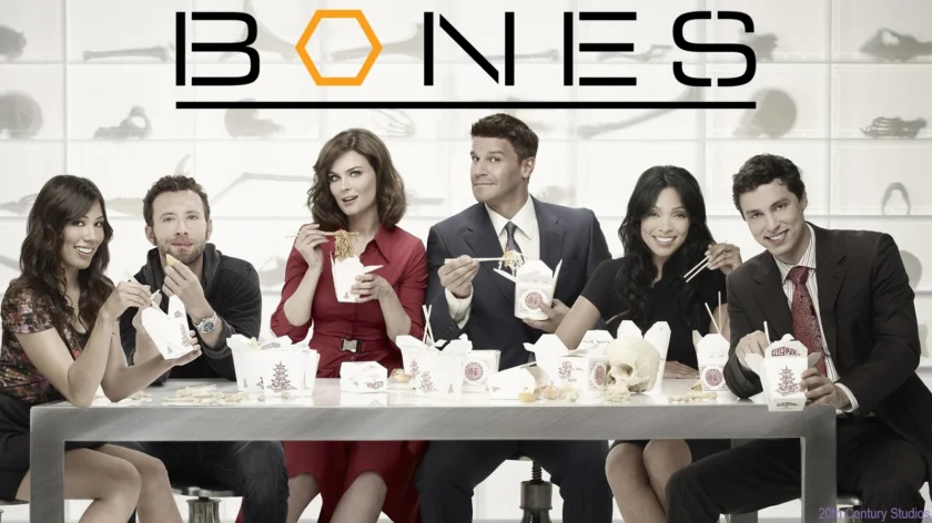 Bones – Die Knochenjägerin – Rewatch