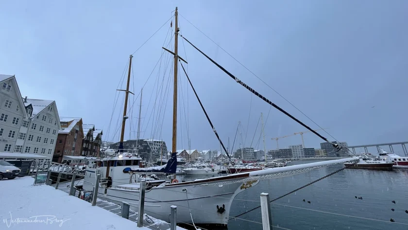norwegen tromso stella oceana