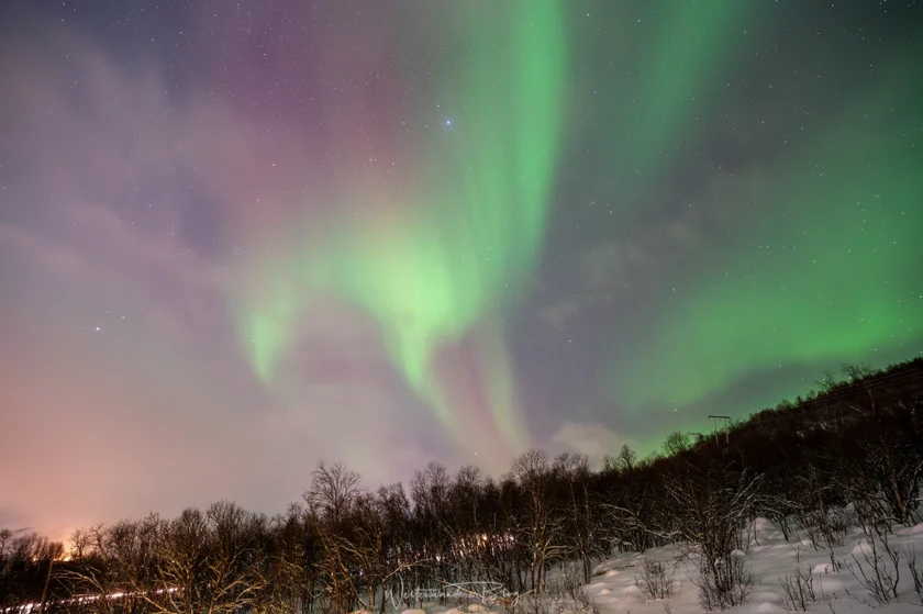 norwegen tromso polarlichter