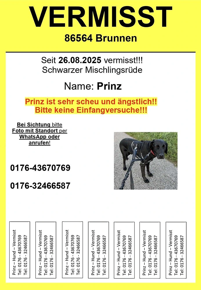 hund vermisst brunnen