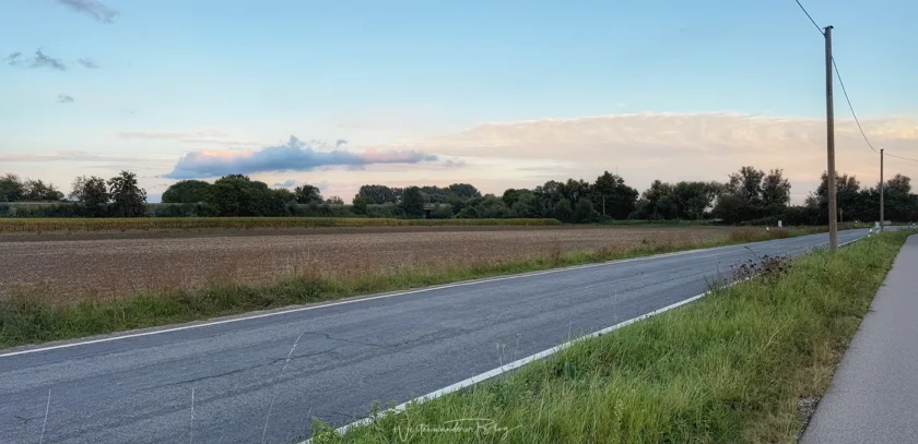 Blaulicht, Theorien und ein entlaufener Hund – unsere ungewöhnliche Gassirunde