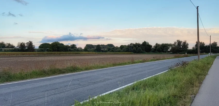 strasse, felder