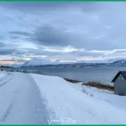 Autofahren im Winter in Norwegen, Schweden & Finnland