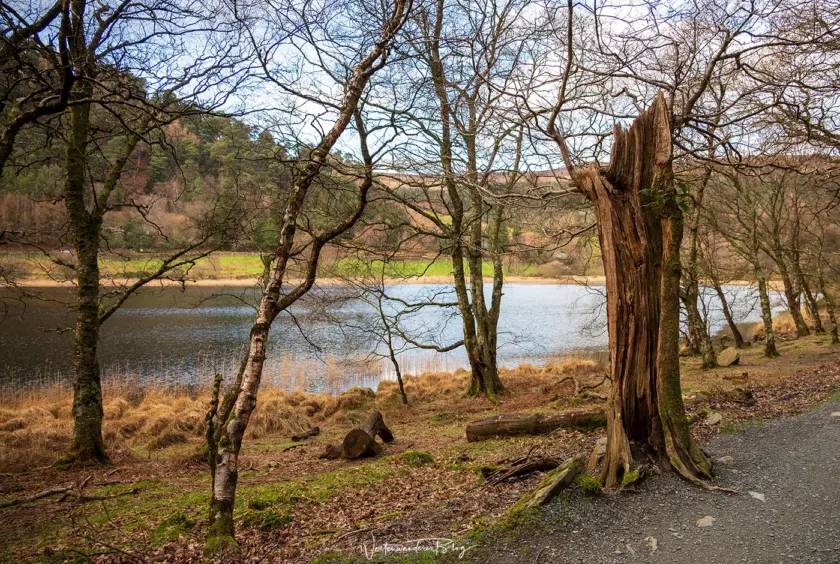 irland 2026 glendalough lower lake