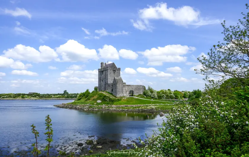 irland dunguaire castle