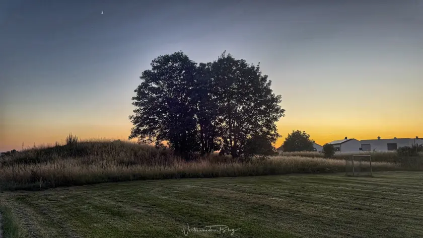 sonnenuntergang baum