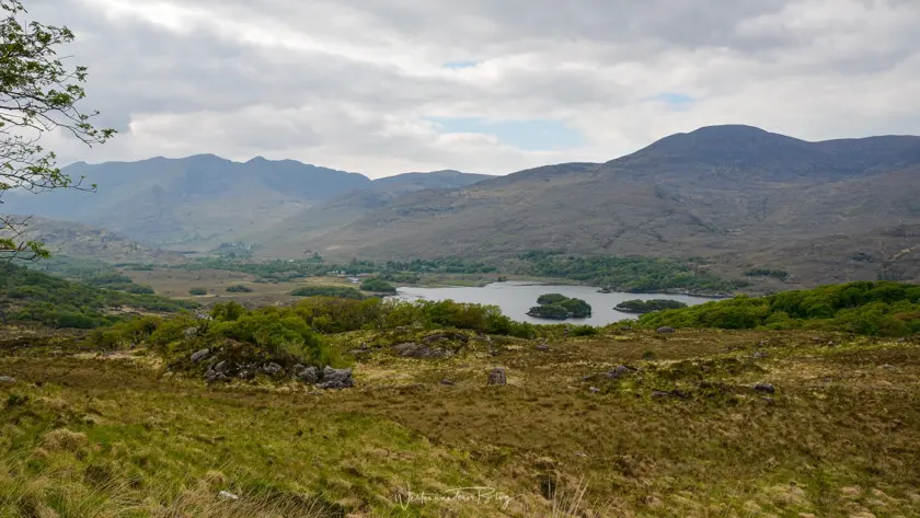 Aussicht vom Lady’s View im Killarney National Park