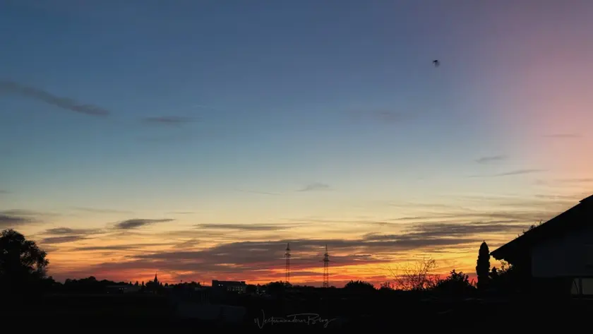 sonneuntergang mit fledermaus