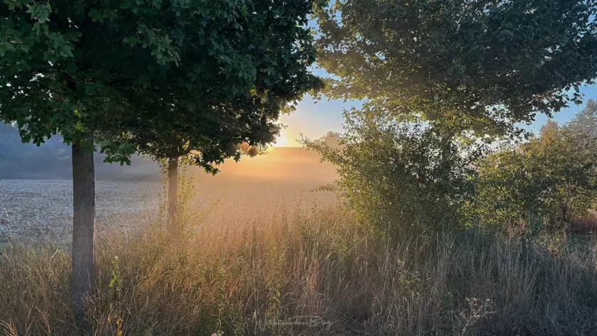 Sonnenaufgang