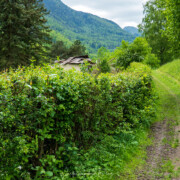 Lost Place Bauernhaus Schweiz