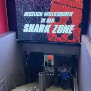 shark zone lanxess arena
