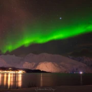 Norwegen Polarlichter Lyngen
