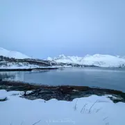 Norwegen Lyngen Fjord