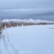 tromso arctic reindeer schlittenfahrt