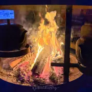 tromso arctic reindeer feuer