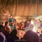 tromso arctic reindeer