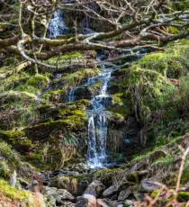 irland 2026 glendalough