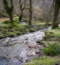 irland 2026 glendalough